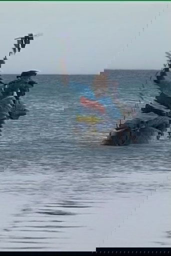 Tuo Dolphins