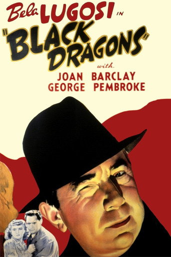 Black Dragons 在线观看和下载完整电影