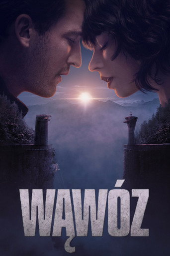 Okładka filmu Wąwóz