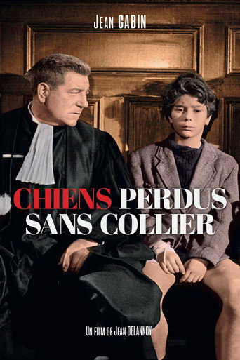 Chiens perdus sans collier 在线观看和下载完整电影