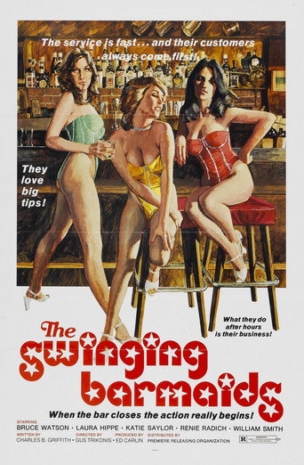 The Swinging Barmaids 在线观看和下载完整电影