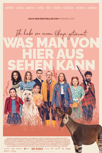 Okładka filmu Sen o okapi
