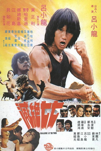 Challenge of the Tiger 在线观看和下载完整电影