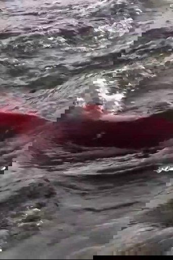 Stó:lo — Big River