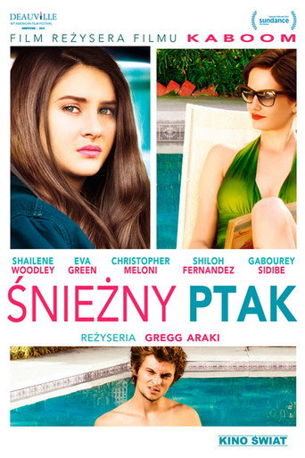 Okładka filmu Śnieżny ptak