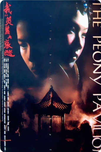 Okładka filmu 我的美麗與哀愁