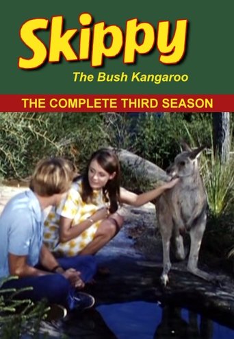 Skippy the Bush Kangaroo