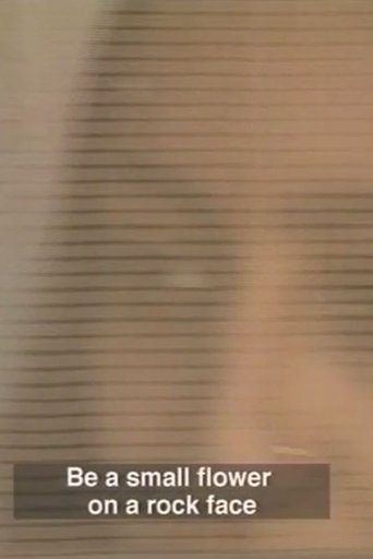 In the Eye of the Fish