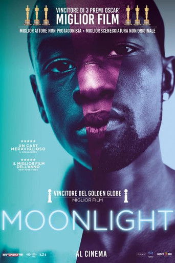 Moonlight Streaming Film Per Tutti 