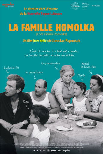Affiche de La Famille Homolka