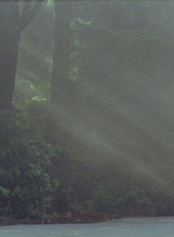 California Picture Book