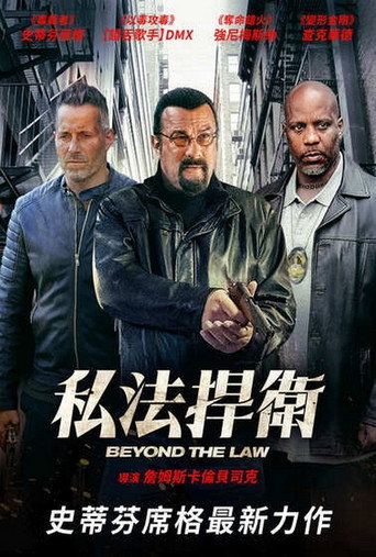 Beyond the Law 在线观看和下载完整电影