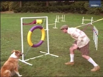 Murray at the Dog Show