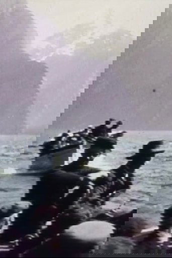 The Sea Coasts of New Zealand