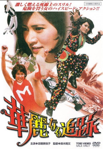 華麗なる追跡 在线观看和下载完整电影
