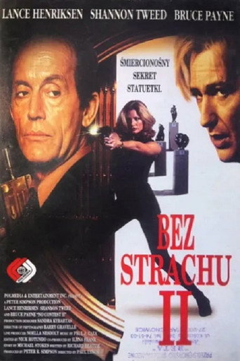 Okładka filmu Bez Strachu II