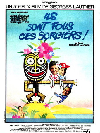 Ils sont fous ces sorciers 在线观看和下载完整电影