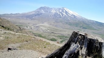 Mt. St. Helens