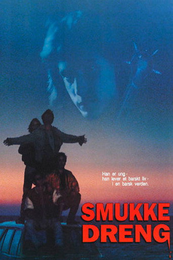 Okładka filmu Smukke Dreng