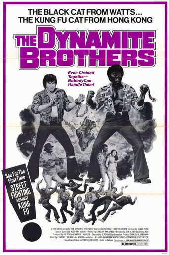 Dynamite Brothers 在线观看和下载完整电影
