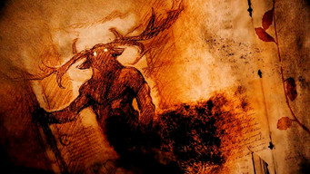Des bêtes et des sorcières poster