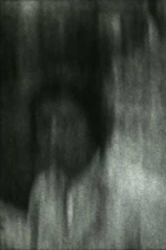 The Carnivore