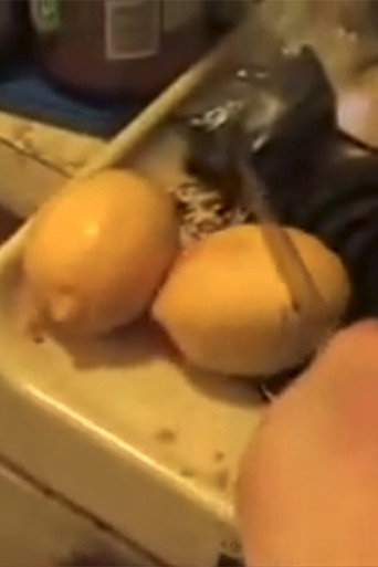 Special Christmas Turkey 在线观看和下载完整电影