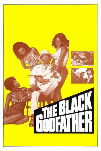 The Black Godfather 在线观看和下载完整电影