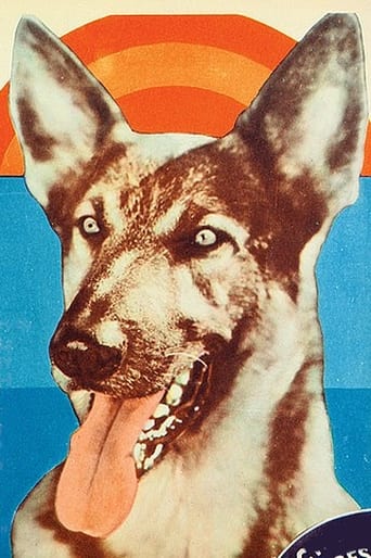 Image of Kazan the Wonder Dog
