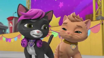 Pups and Cats Save HumCatDingerMan