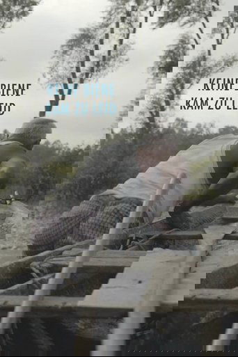 Keine Biene kam zu Leid