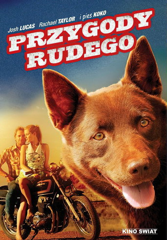 Okładka filmu Przygody Rudego