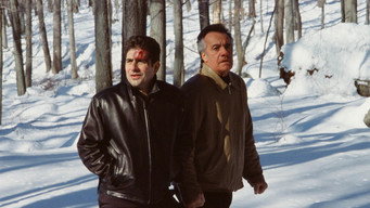 Pine Barrens