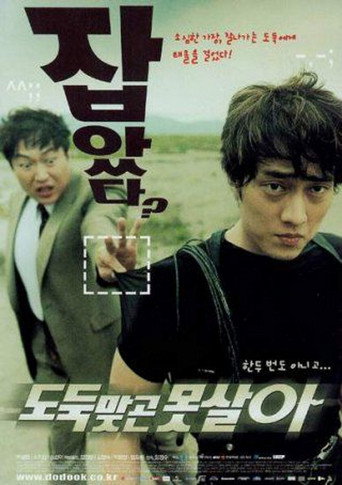 Okładka filmu 도둑맞곤 못살아