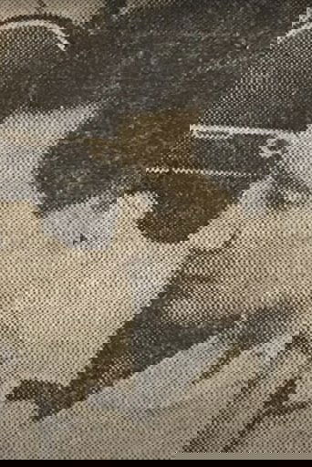 Juan Siringo