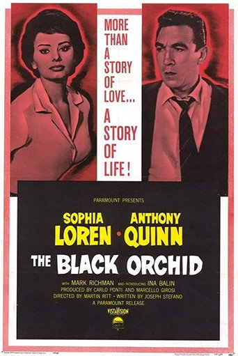 The Black Orchid 在线观看和下载完整电影
