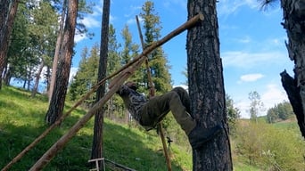 Smoke-Free, Bone-Dry Shelter