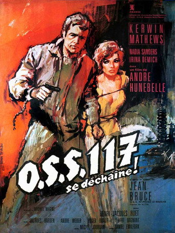 OSS 117 se déchaîne 在线观看和下载完整电影