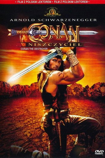 Okładka filmu Conan Niszczyciel