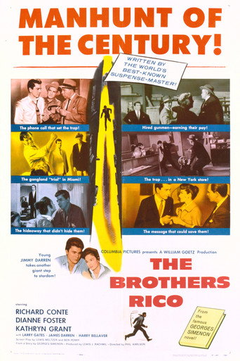The Brothers Rico 在线观看和下载完整电影