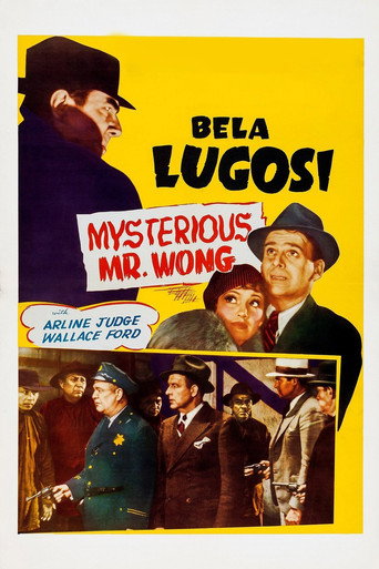 The Mysterious Mr. Wong 在线观看和下载完整电影