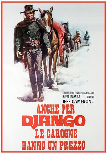 Okładka filmu Pistolet dla Django