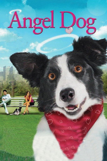 Angel Dog 在线观看和下载完整电影