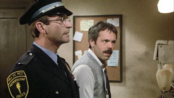 Requiem For a Hairbag