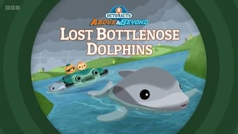 Lost Bottlenose Dolphins