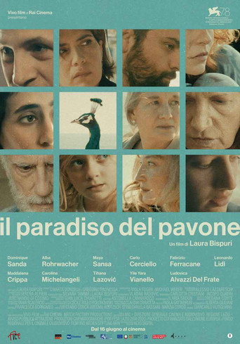 Okładka filmu Il paradiso del pavone