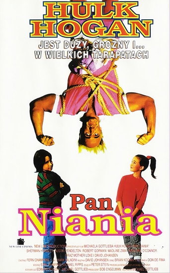 Okładka filmu Pan Niania