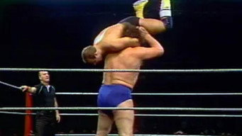 All Star Wrestling - October 17, 1981