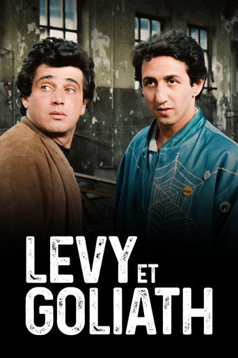 Okładka filmu Lévy et Goliath