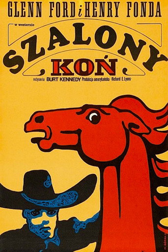 Okładka filmu Szalony Koń